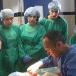 Stage de dissection Stage de dissection